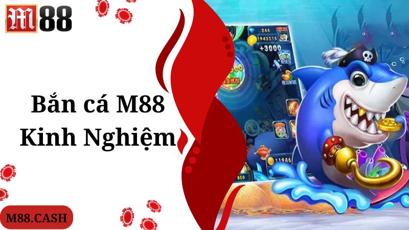 M88 Bắn cá: Săn cá đại dương vô vàn quà khủng 5 Chuyên gia chia sẻ kinh nghiệm chơi M88 bắn cá hiệu quả